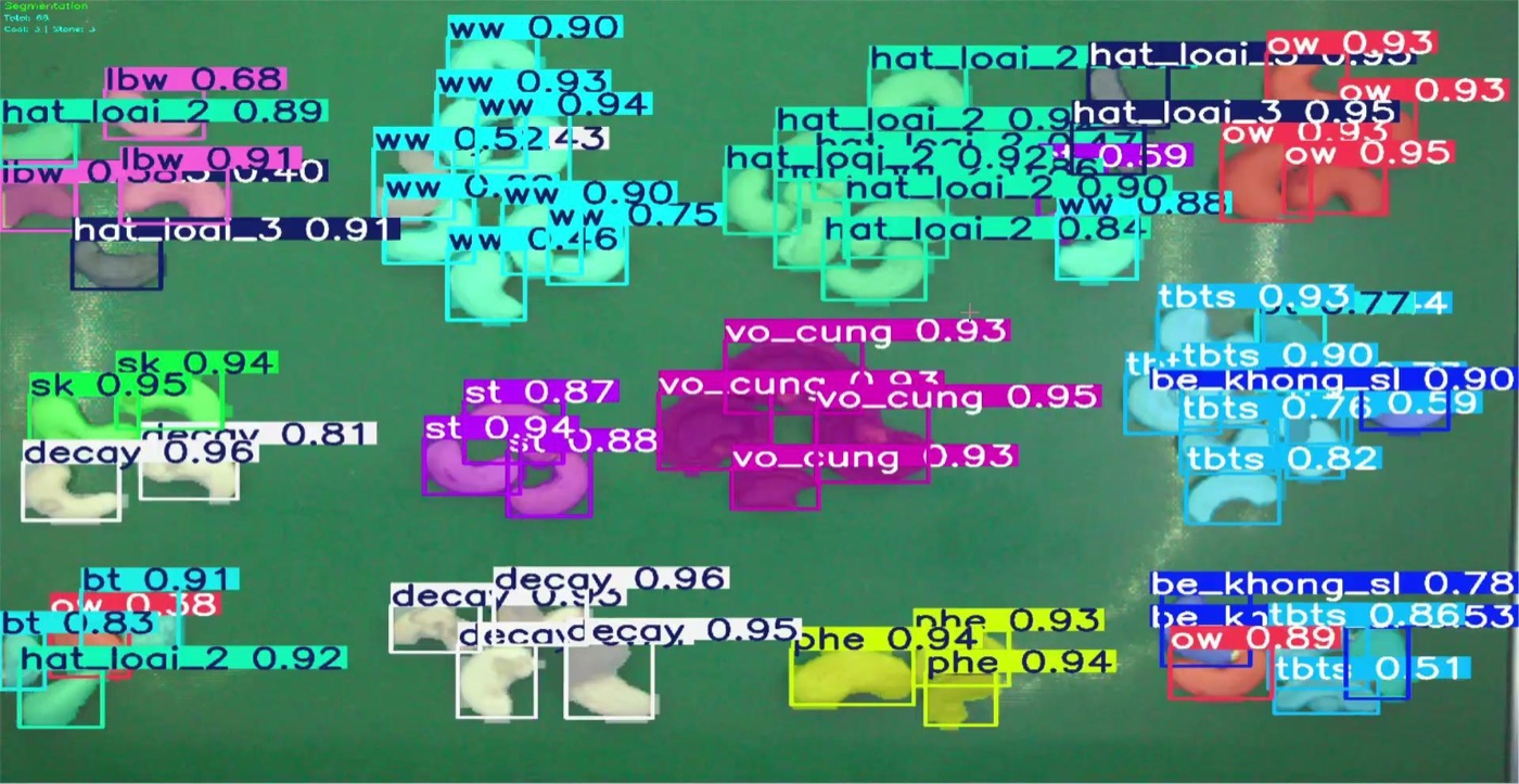 AI model detecting and grading cashew kernels