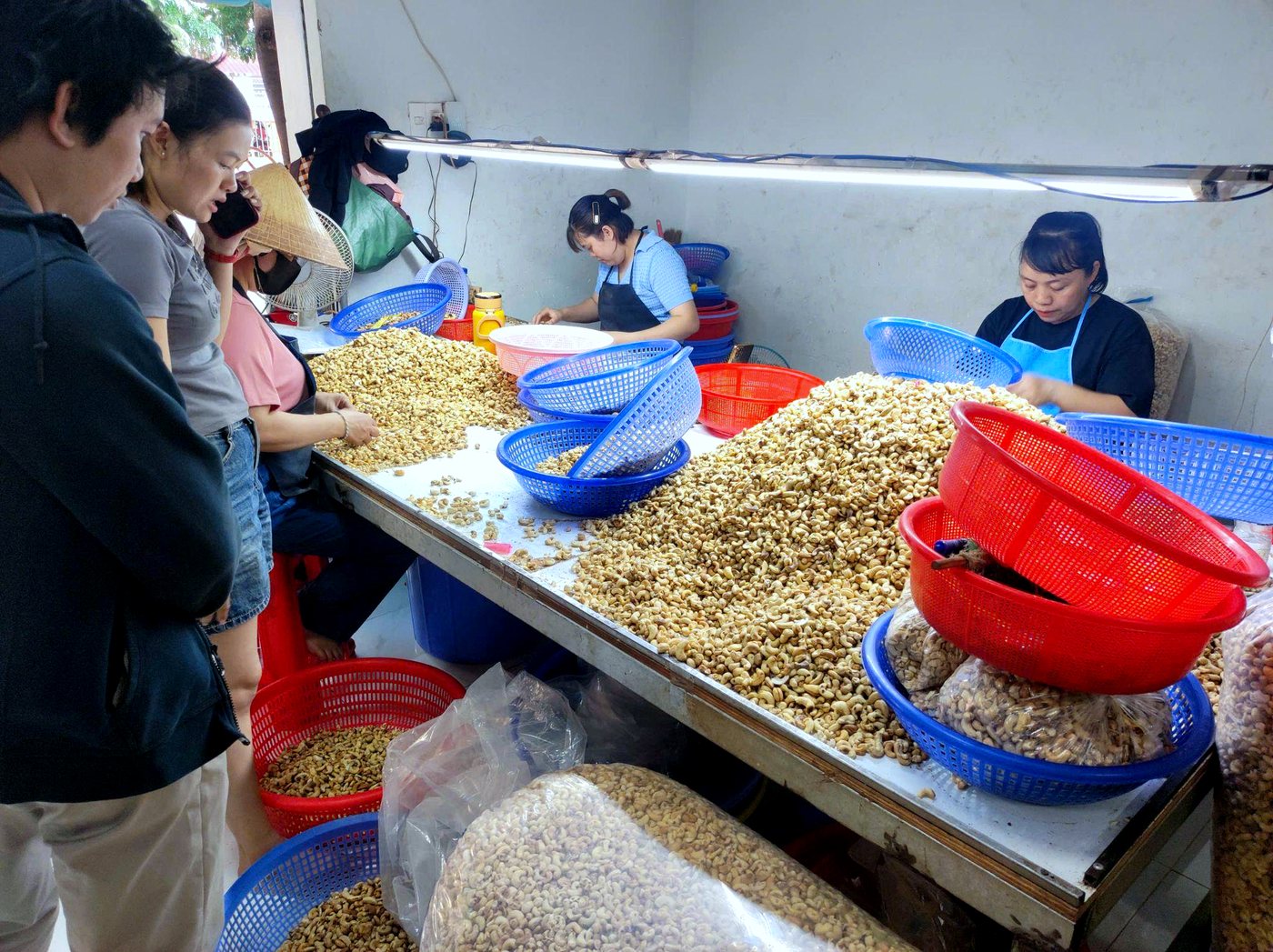 Cashew sorting pilot in Binh Phuoc